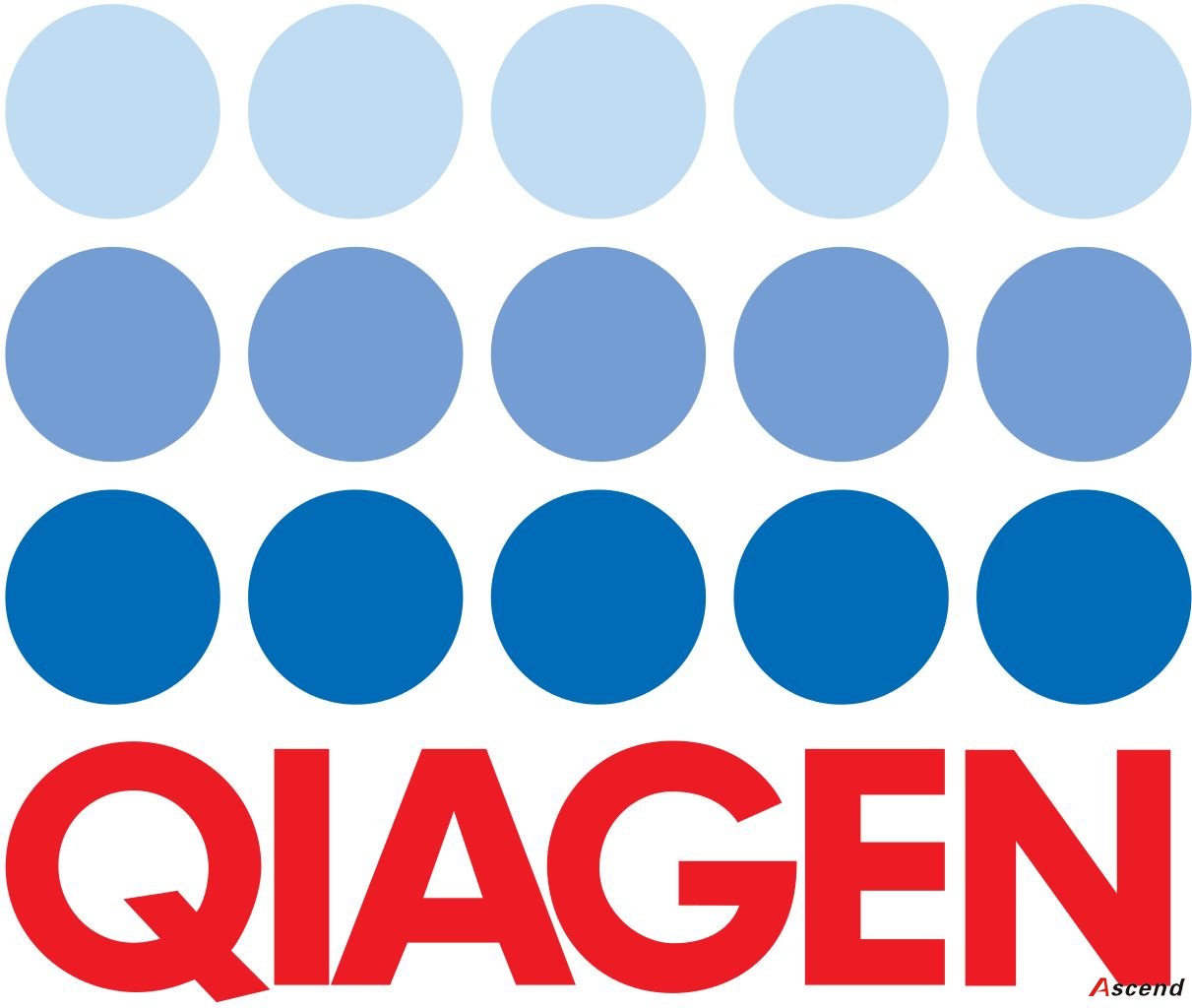 Qiagen 27104试剂盒 质粒小量提取试剂盒