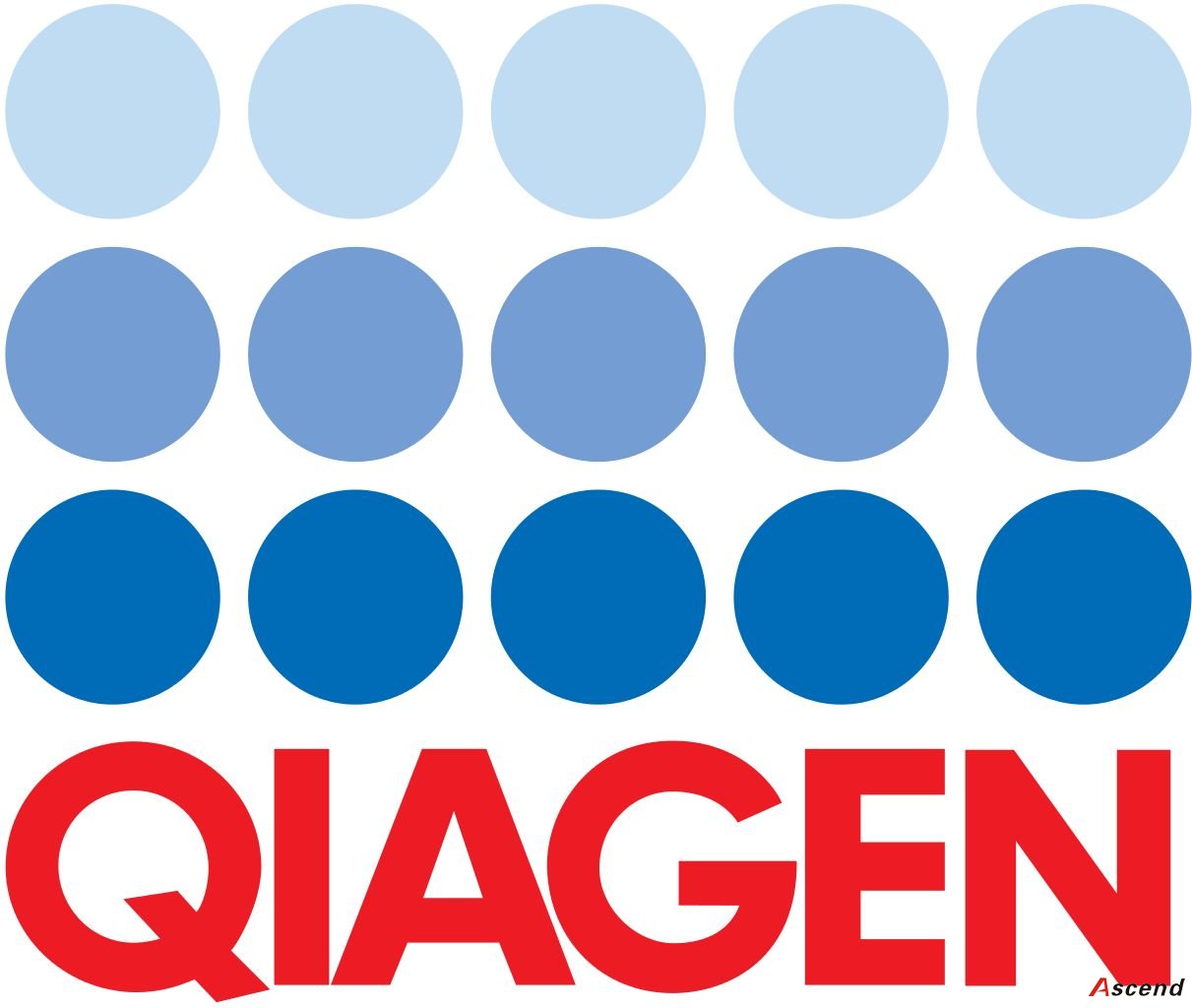 Qiagen 12191 QIAGEN Plasmid Giga Kit