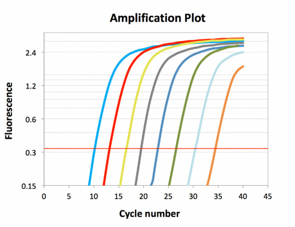 2 × Taq HE PCR Master Mix（With Dye）