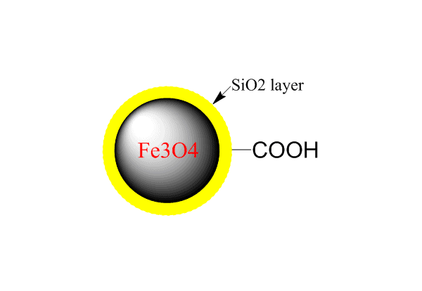 羧基磁珠羧基修饰磁珠蛋白欧联抗体纯化分离磁