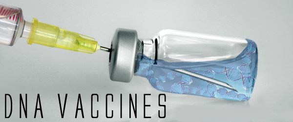 我国首个DNA疫苗获得批准