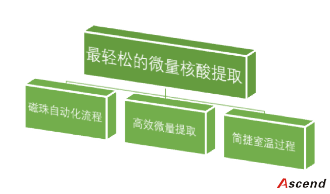 核酸提取试剂盒 (磁珠法) 核酸提取基本介绍