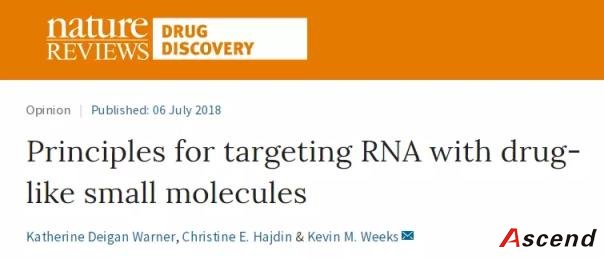 Nature深度综述：研发RNA靶向新药的几大原则