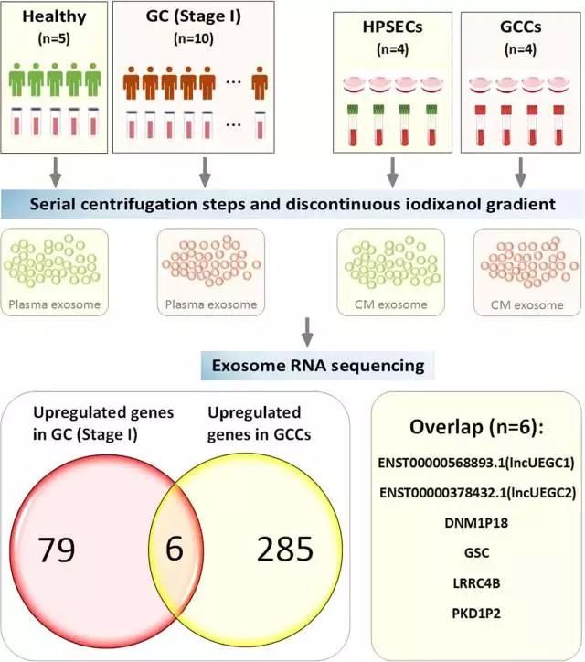 轻松解锁外泌体RNA生物标志物的研究策略