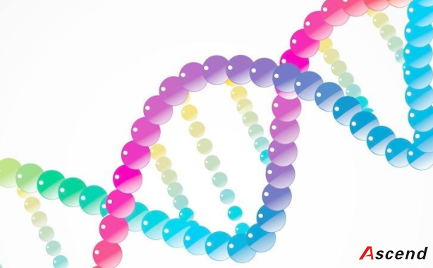  “基因魔剪”准确性低于预期，或致DNA大规模删