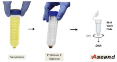 磁珠法尿液核酸提取试剂盒-DNA提取试剂盒