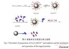 《化学研究》新录用稿件：巯基功能化磁性微球