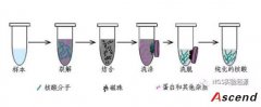 深度长文｜磁珠的起源、应用与发展历史