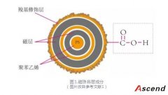 磁珠法分离纯化DNA片段