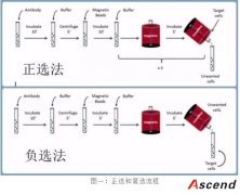 【知识深造】细胞分选