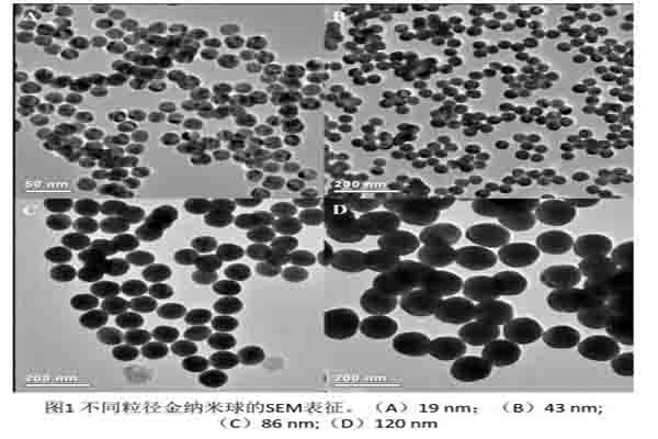 金纳米球的合成以及定制服务