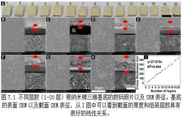 银纳米棒定量三维表面增强拉曼光谱基底