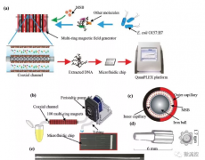 新DNA提取方法结合微流控PCR 可检出12 CFU/ml致病菌