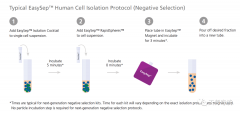 细胞分选步骤详解-人