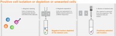 细胞分选基本原理与分选设备的选择