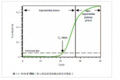 荧光定量 PCR的私家笔记